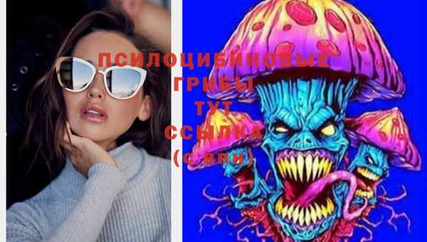 мяу мяу мука Арсеньев
